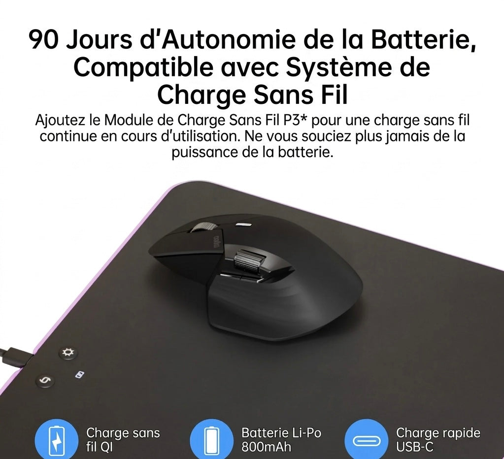 ouris Sans Fil Ergonomique Rapoo – 4000 DPI & Multi-appareils
